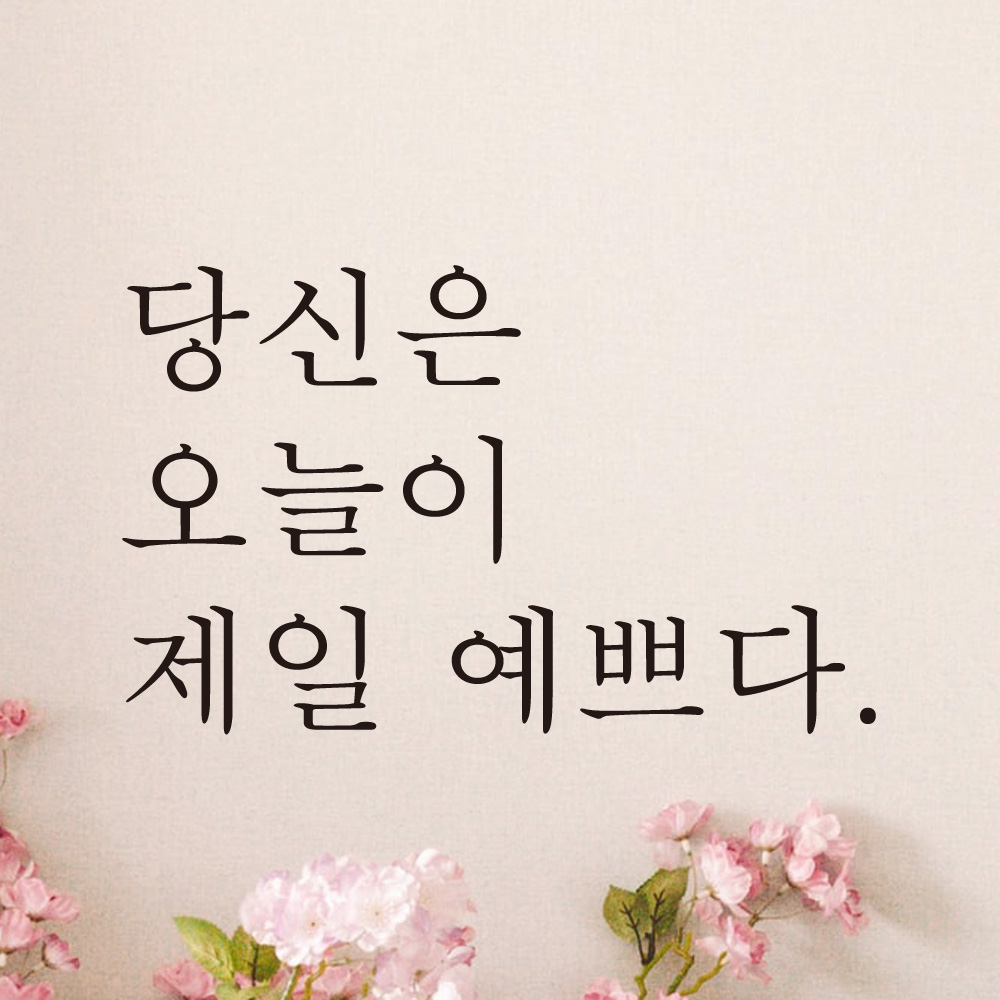 모노먼트 모노먼트 한글 감성 레터링 스티커 - 당신은 오늘이 제일 예쁘다 S