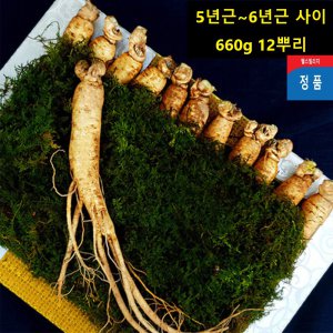 한국인삼유통공사 수삼 선물 세트 고려 6년근 인삼 사포닌 인삼주 부모님선물 산삼 고급선물 한국인삼유통공사 한국인삼유통