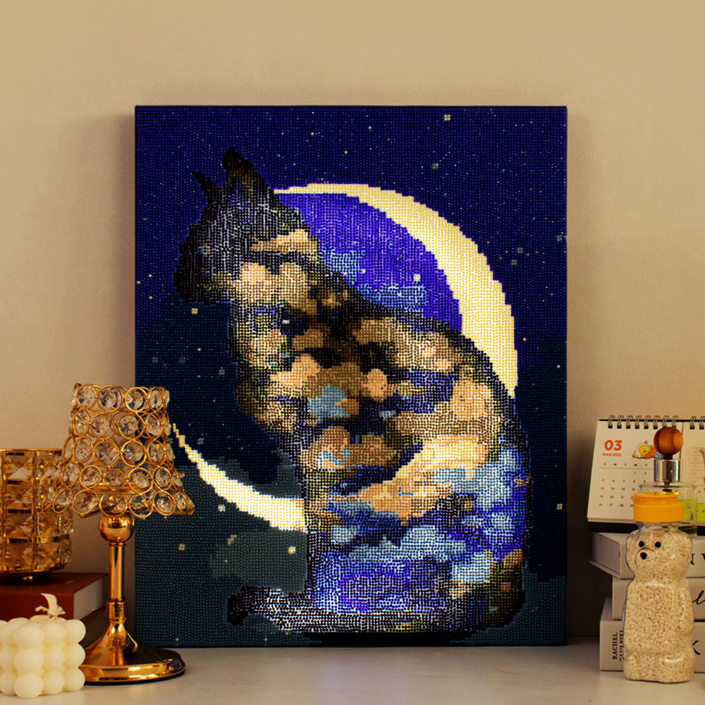 아트조이 아트조이 DIY LED 캔버스형 보석십자수 40 x 50 cm 달과 고양이 1개