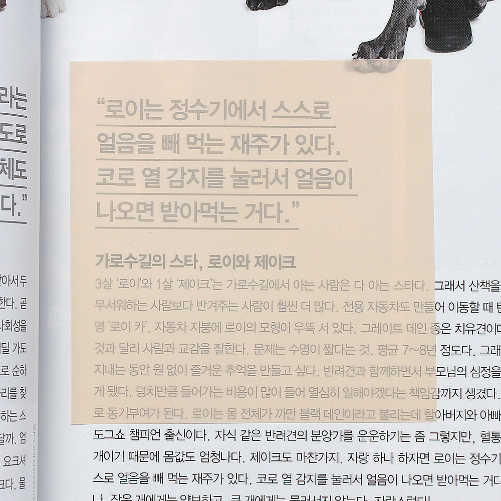 활용만점 반투명 점착메모지 50매x10세트 메모용지