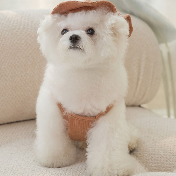 PET 강아지 옷 곰돌이 모자 세트 여름 나시 옷