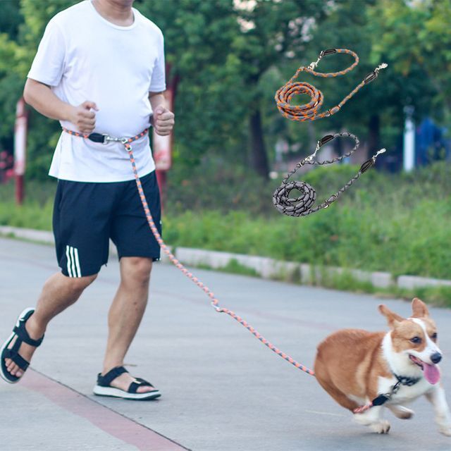 핸즈프리 강아지 리드줄 목줄 2 6M M 10mm-17KG 이하