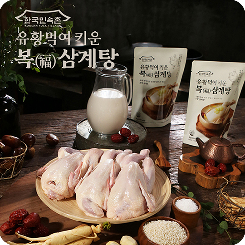 한국민속촌 유황먹여 키운 복 삼계탕