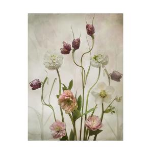 Trademark Fine Art 샤론 윌리엄스의 Spring Garden 캔버스 아트