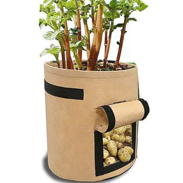 부직포 화분 베란다 텃밭 고구마 키우기 10갤런 35x40