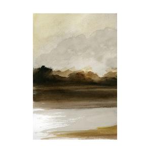 Trademark Fine Art Stellar Design Studio의 Transitioning Landscape I 캔버스 아트