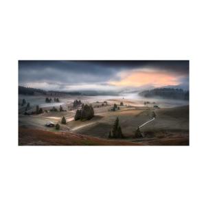 Trademark Fine Art Tomasz Rojek의 Foggy Farm 캔버스 아트