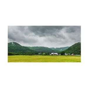 Trademark Fine Art Brenda Petrella Photography LLC의 Local Farm 캔버스 아트