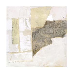 Trademark Fine Art Market Remnants I 캔버스 아트 Jennifer Goldberger 작