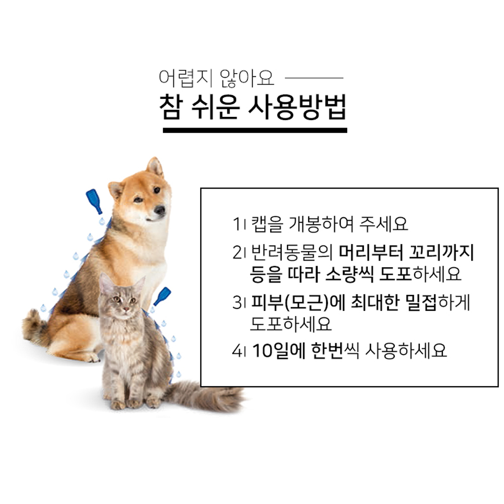 비아파 몽땅펫 비아파 디메치케어 스파이더 캣 X 3