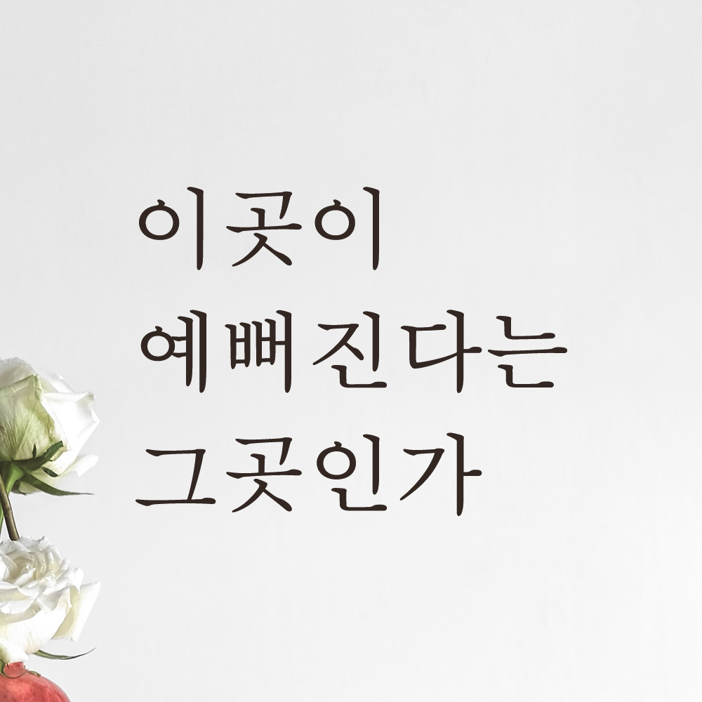 모노먼트 모노먼트 한글 감성 레터링 스티커 - 이곳이 예뻐진다는 그곳인가 S L-059