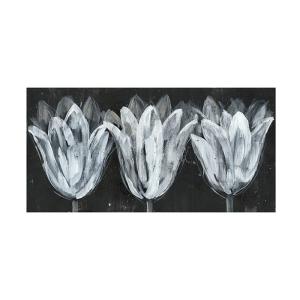 Trademark Fine Art 트리오 on I 캔버스 아트 by Jennifer Goldberger