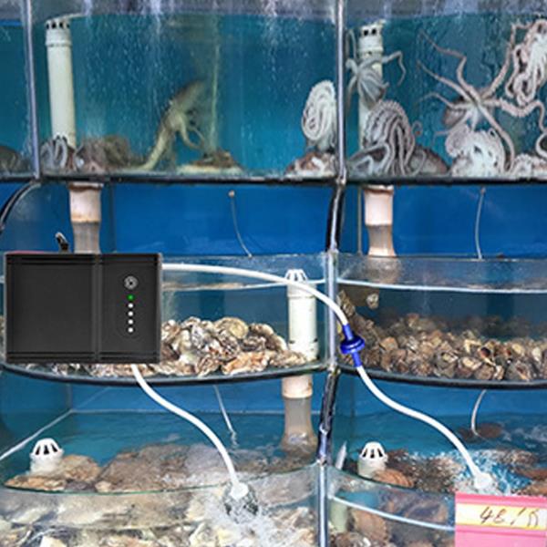 저소음 태양열 물고기 산소 펌프 수족관 공기 펌프 6V 5W 4500mAh 균일한 공기 분배