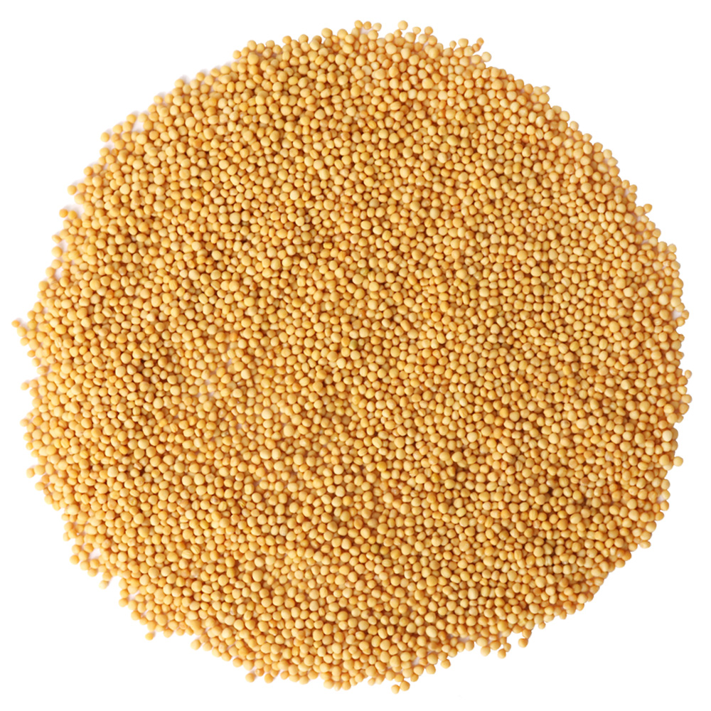 동의한재 동의한재 겨자씨 3kg