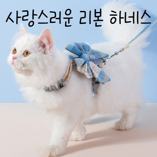 플러블리 퀄리티 좋고 귀여운 튼튼한 리본 하네스 1개