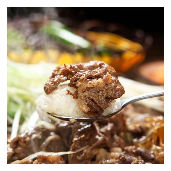 정성담은 천상궁 양념 소불고기 500g x 2팩