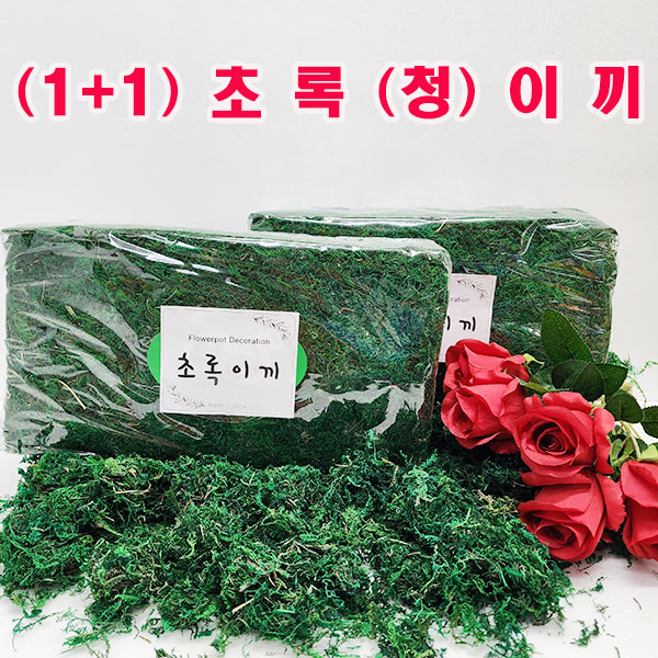 샤인몰 1 1 초록이끼 인조이끼 대용량 약650 2개 화분이끼 인테리어 소품 실내조경