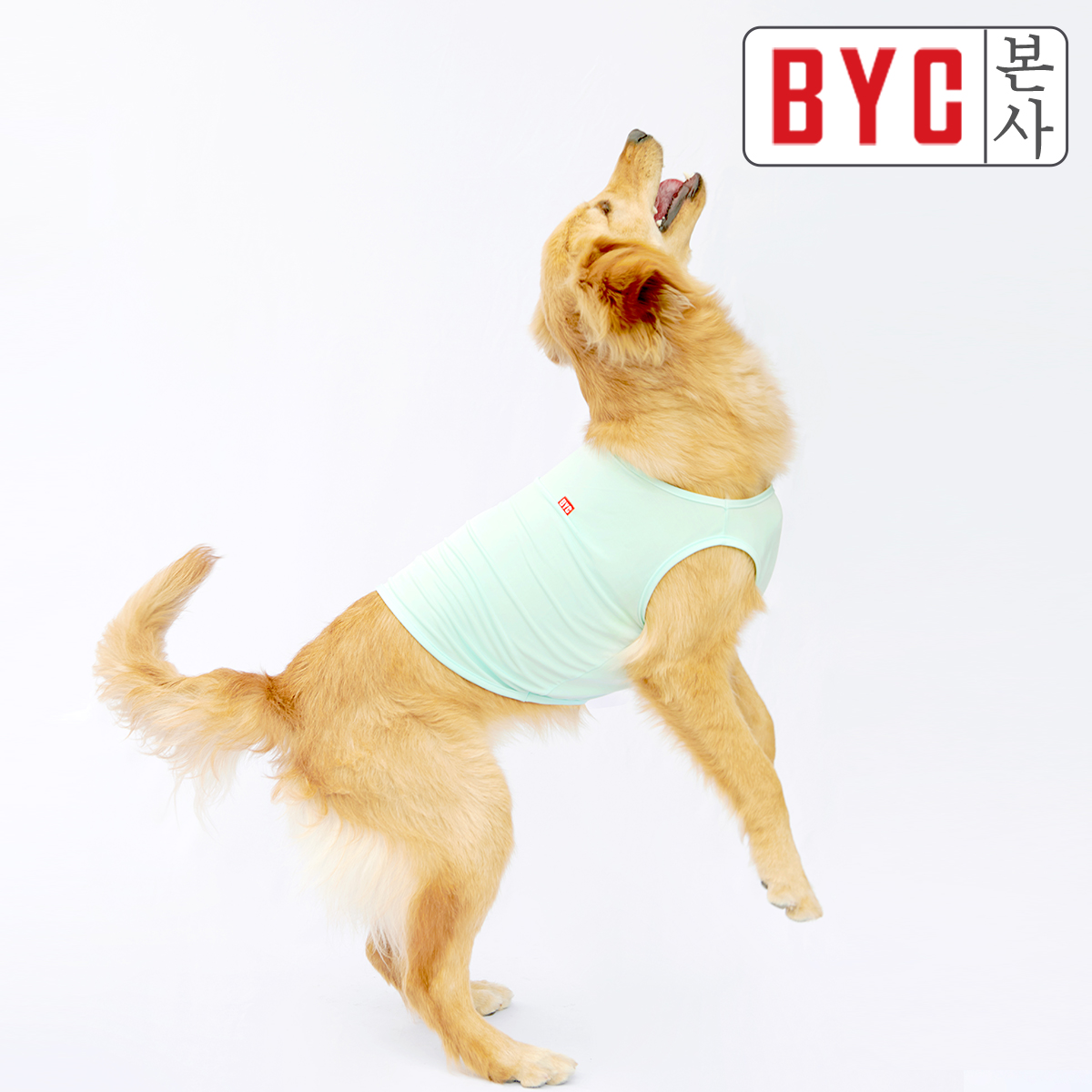BYC BYC BYC 보디드라이 반려견용 쿨런닝 중형견