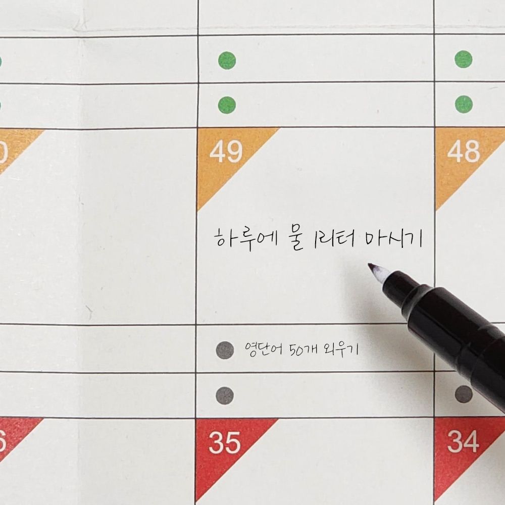 100일 디데이 플래너