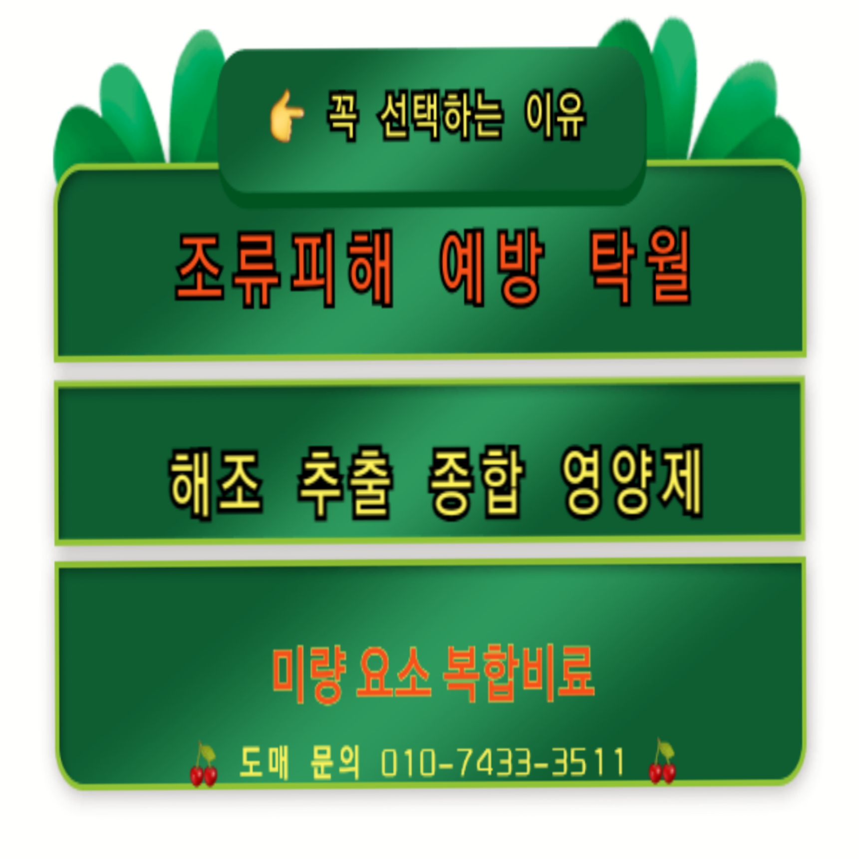 나라원 농마트 미역귀아미노88 유기농 아미노산 영양제 10L 해조추출물 액비C 1개