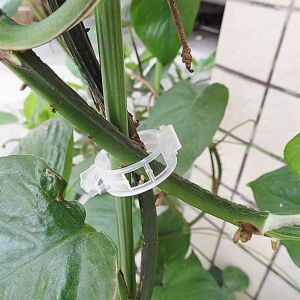 식물 화초 줄기 고정 클립 고정기 원예용 집게 10P