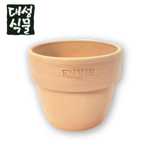 앙비까사 엔비까사 베트남 도토리 토분 빈티지토분 빈 화분 소형