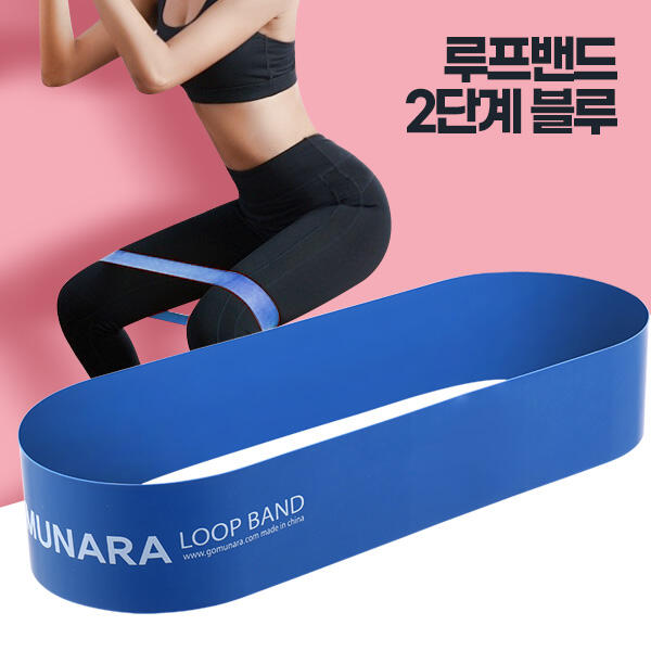 아카시아리빙 루프밴드 2단계 힙업 필라테스 스트레칭밴드