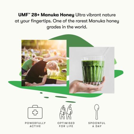 New Zealand Honey Co Raw Manuka Honey UMF 28 MGO 1450 UMF 124 7g4 4온스 125g 1개