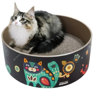 띵가띵가 고양이 냥이 스크레쳐 스크래쳐 우주 애묘 발톱 캣 애완용 펫