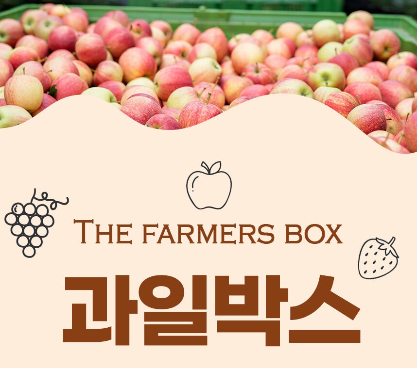 과일상자 플라스틱 이사바구니 운반 사각 농산물박스