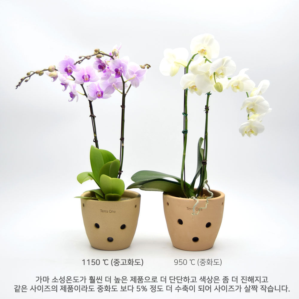 테라원 행잉 타공 수제 토분 5개 셋트