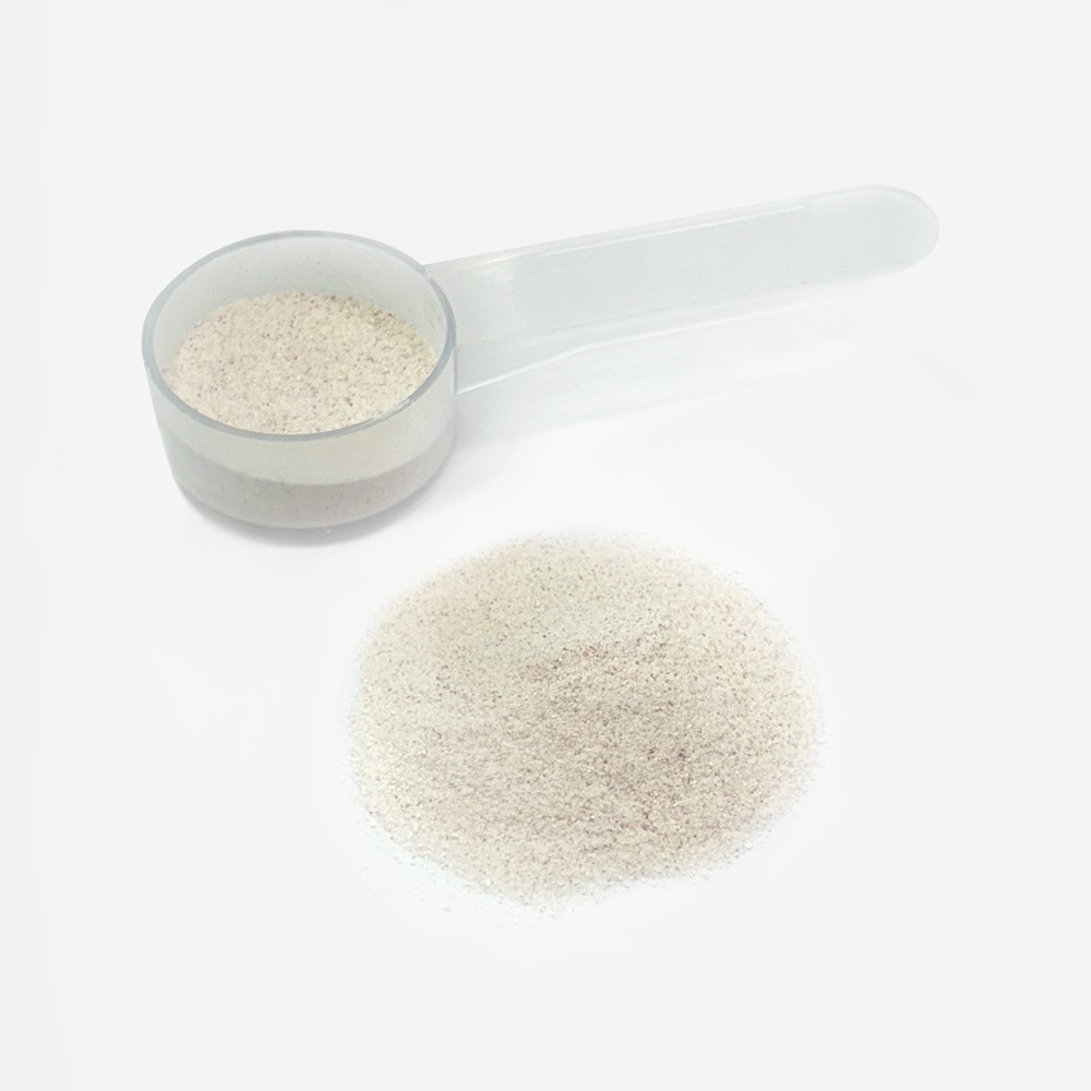 코스맥스엔비티 피토틱스 시트루 BCAA 300g