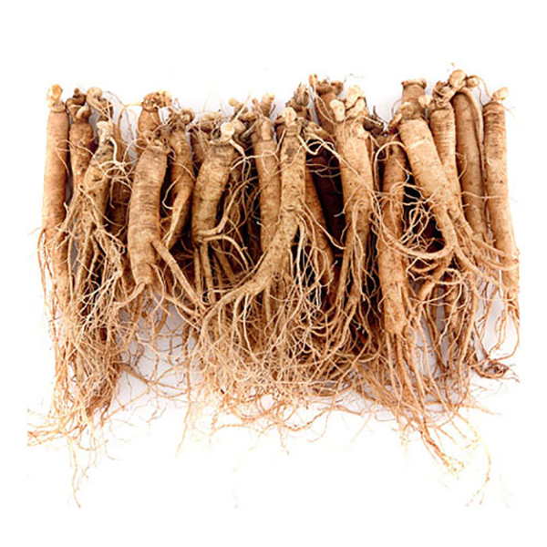 산지직송 금산 인삼 수삼 원수삼 25뿌리내외 750g 750g