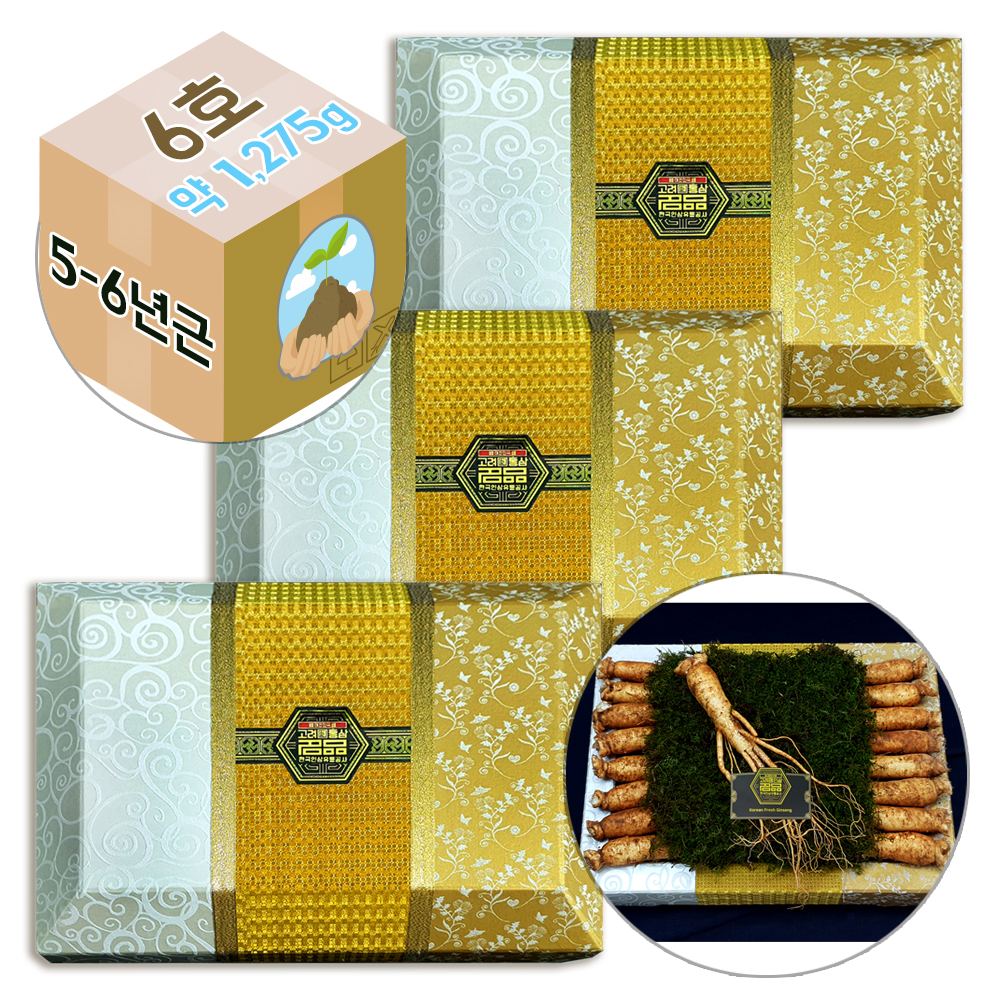 한국인삼유통공사 GS-Fresh 고려 수삼 15뿌리 선물용 5호 금색보자기 3팩