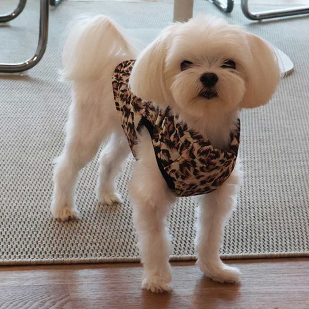 강아지 겨울 따뜻한 실외 산책 하네스 고리 패딩 조끼
