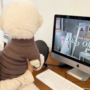 사계절 강아지 부드러운 스웨이드 원단 실내 옷