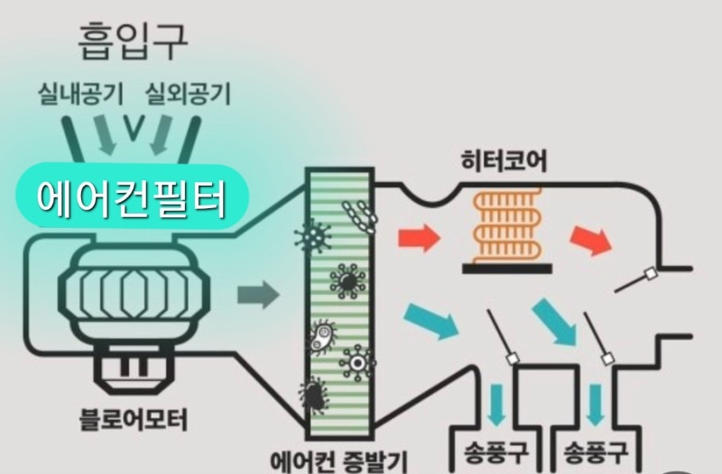 출장 에바크리닝 자동차에어컨냄새제거 자동차에어컨청소 대구자동차히터냄새제거 에바포레이터세척 에바청소
