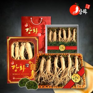 강화초지인삼 바구니선물포장 5년근 수삼 1채 750g 7 8뿌리