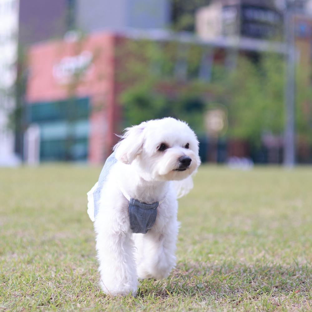 루나몽 3 1 미키 스트링 순면 원피스 국산 자체브랜드 애견옷 반려견옷 고양이옷 강아지옷 자체제작