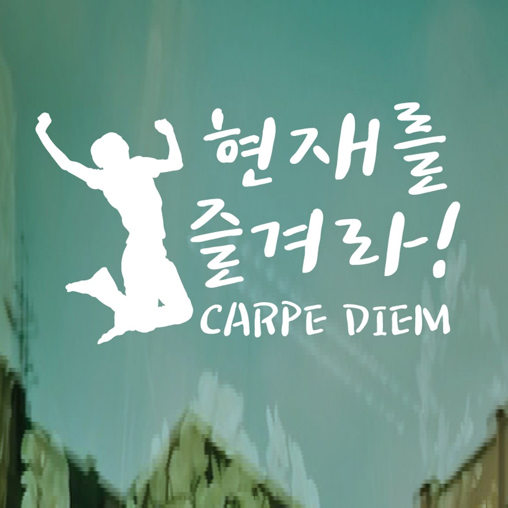 페이퍼스토리 페이퍼스토리 명언스티커 감성글귀 인테리어 카페 아이방 캘리 A28 카르페디엠 스티커