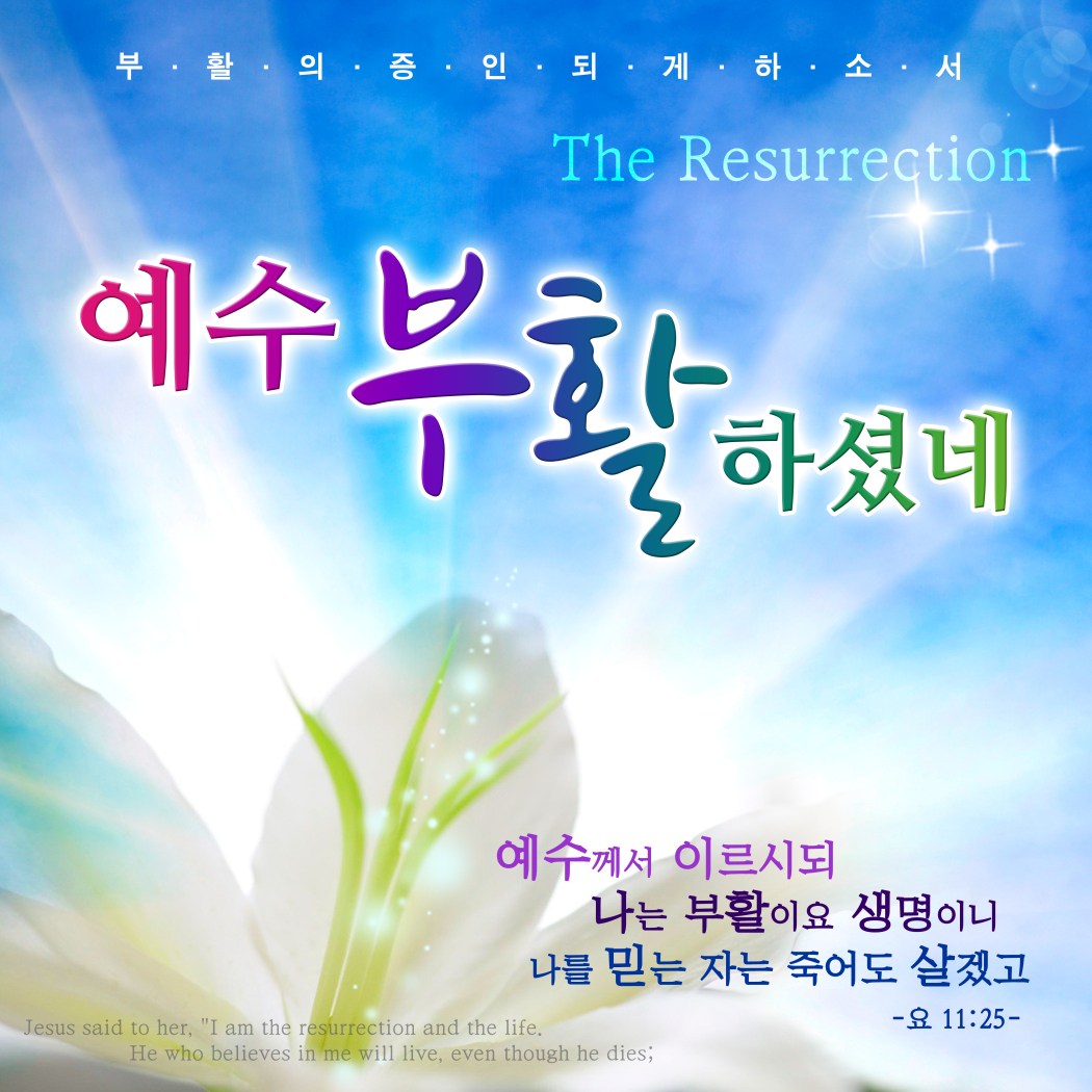부활절 현수막 - 예수 부활하셨네 x 23133BLD 100