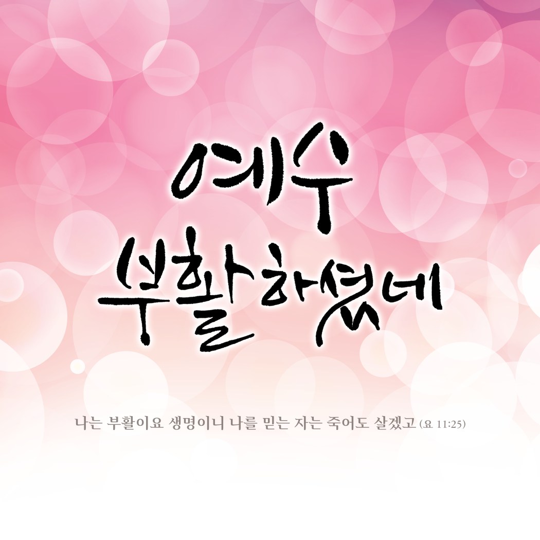 부활절 현수막 - 예수 부활하셨네 23136BLD
