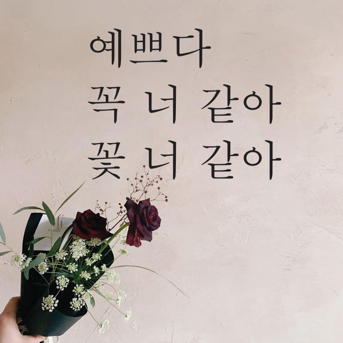 뮤즈 예쁘다 꼭 너 같아 꽃 너 같아 레터링 감성 글귀 스티커 시트지 M