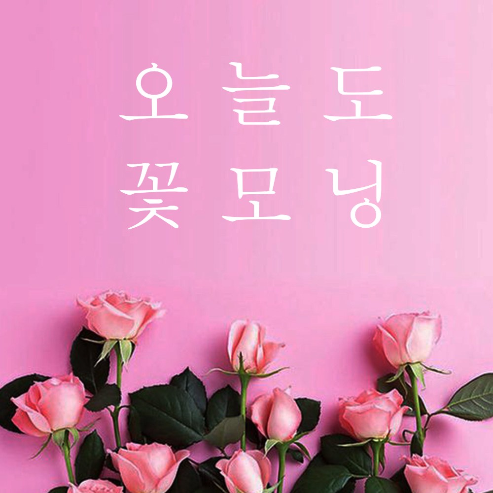 MUSE 뮤즈 오늘도 꽃모닝 레터링 감성 글귀 스티커 시트지 S 흰색