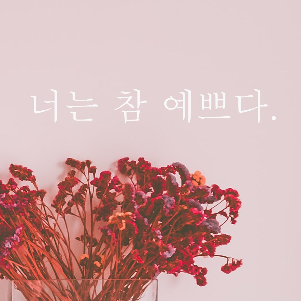 단비데코 감성레터링 스티커 감성문구 응원 명언 현관문 포인트스티커 M사이즈 L-05너는참예쁘다-화이트
