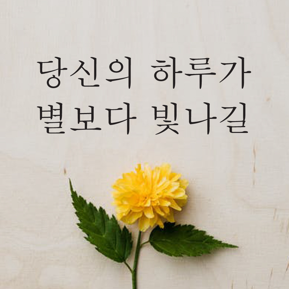 단비데코 감성레터링 스티커 감성문구 응원 명언 현관문 포인트스티커 M사이즈 L-37당신의하루가-블랙