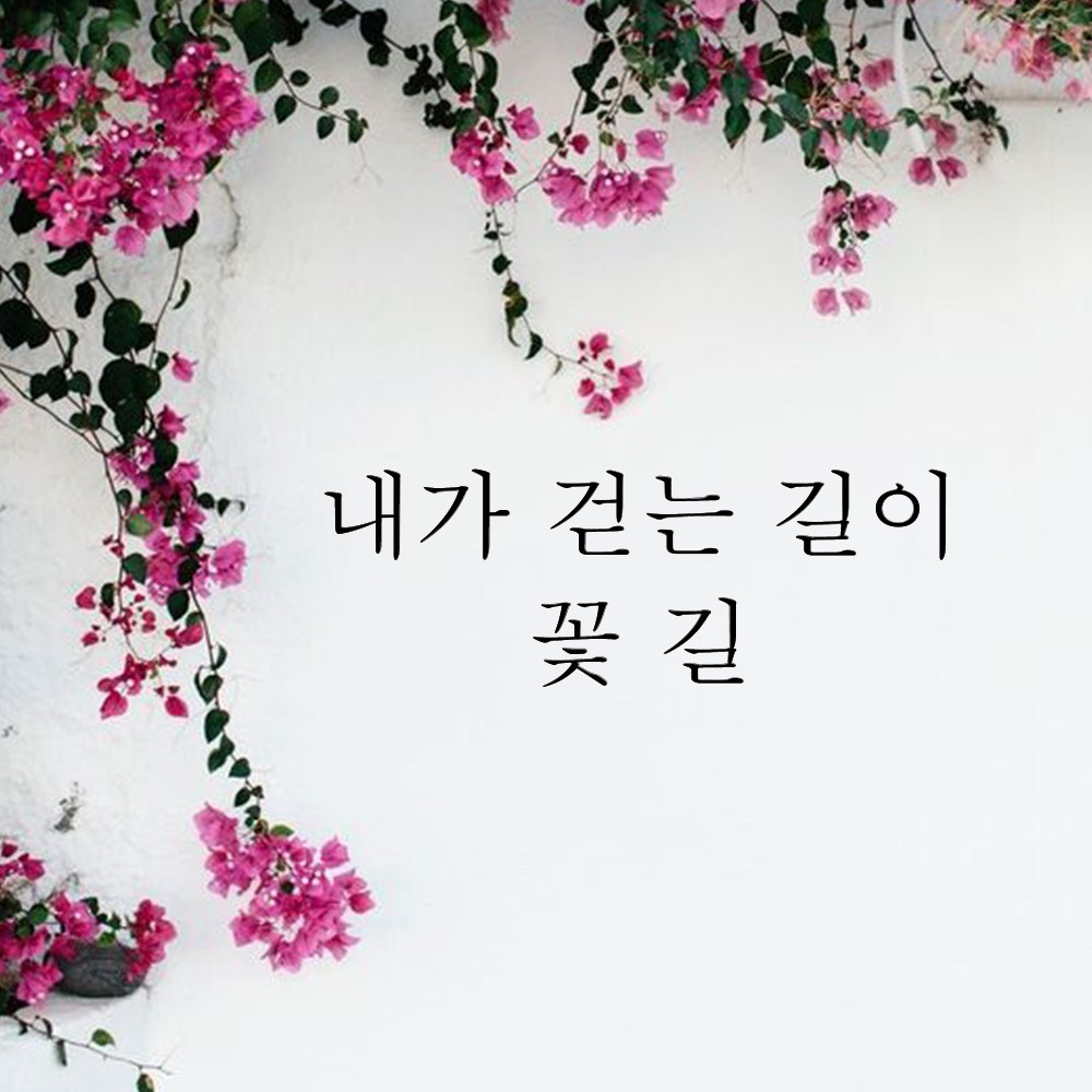 MUSE 뮤즈 내가 걷는 길이 꽃길 레터링 글귀 스티커 시트지 M