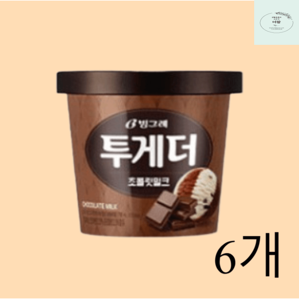 빙그레 빙그레 빙그레 투게더 초콜릿 밀크 x 6개 떠먹는 초코 아이스크림 대용량 여름간식