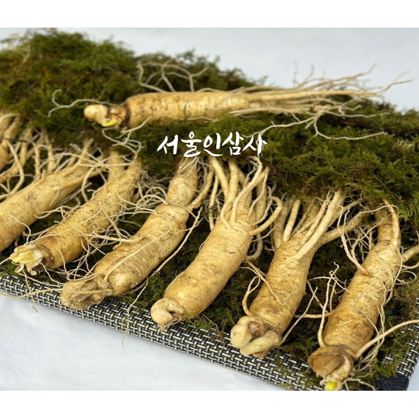 서울인삼사 6년근 풍기인삼 수삼 1채 750g 11뿌리 15뿌리 750g 11 15뿌리 종이상자 3000 1개