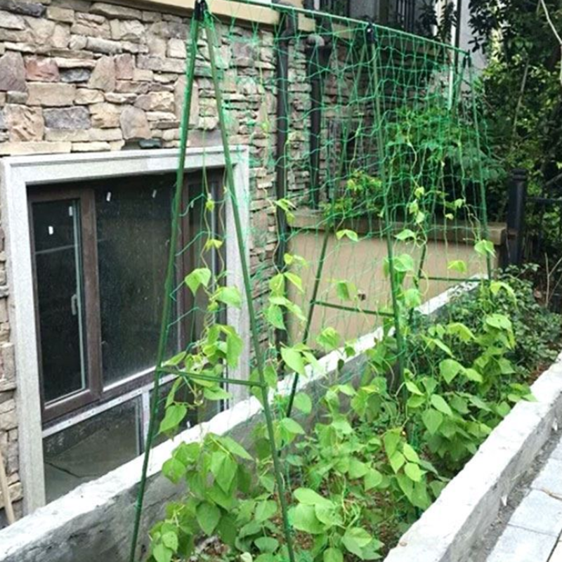 호박 오이 토마토 넝쿨 덩쿨 식물지지대